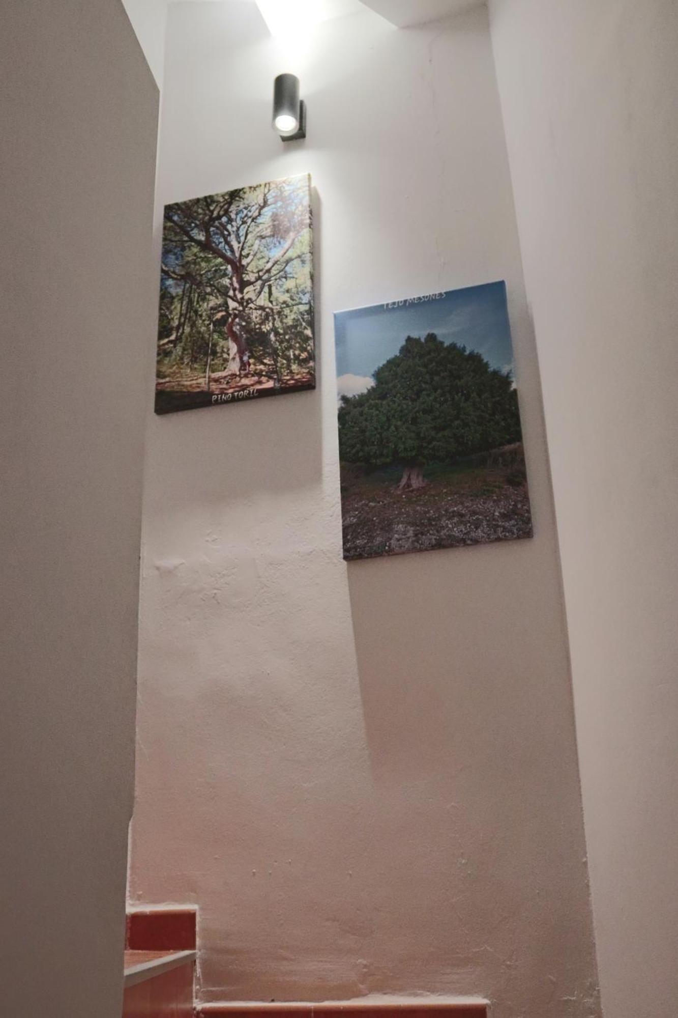 Riópar Casa 25ヴィラ エクステリア 写真